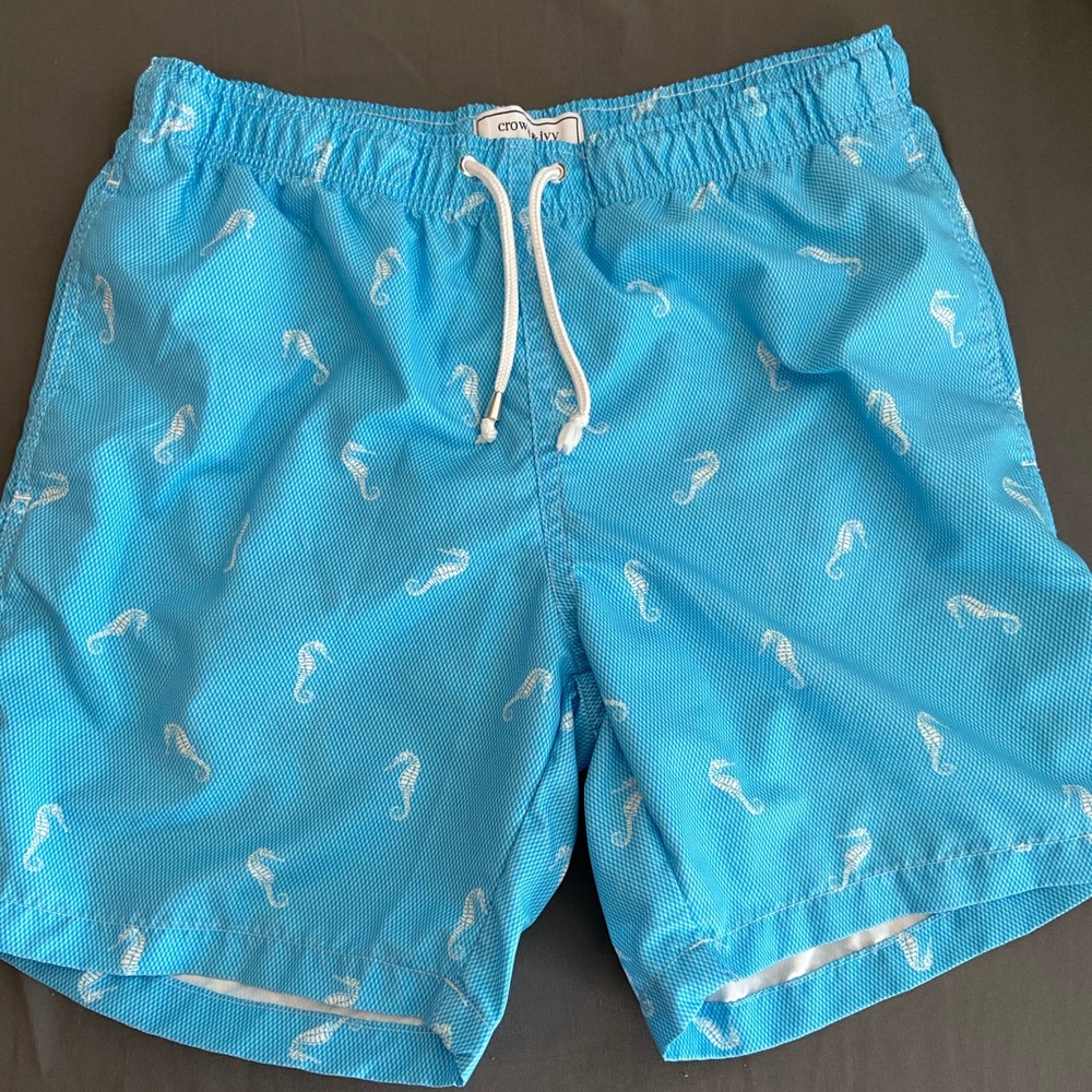 Crown & Ivy Light Blue Swimsuit/ Swim Trunks